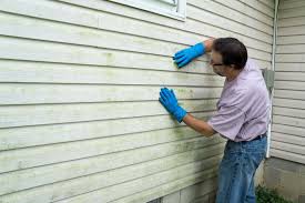 Best Historical Building Siding Restoration  in Ceres, CA